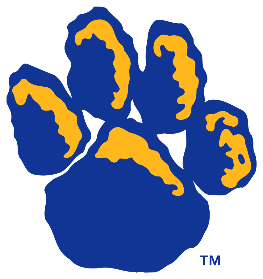 Pittsburgh Panthers 2019-Pres Secondary Logo v2 diy DTF decal sticker